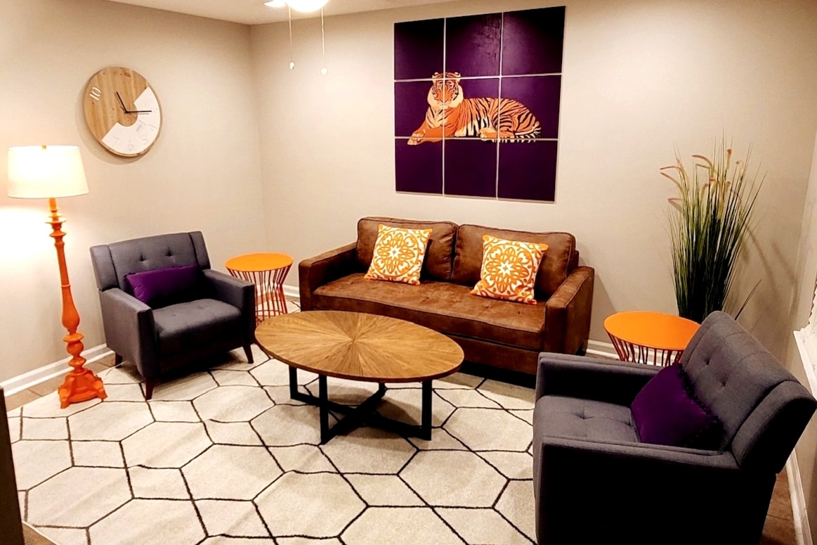 Popular Airbnb listing: Where the Tigers Stay - walking distance to campus in Clemson