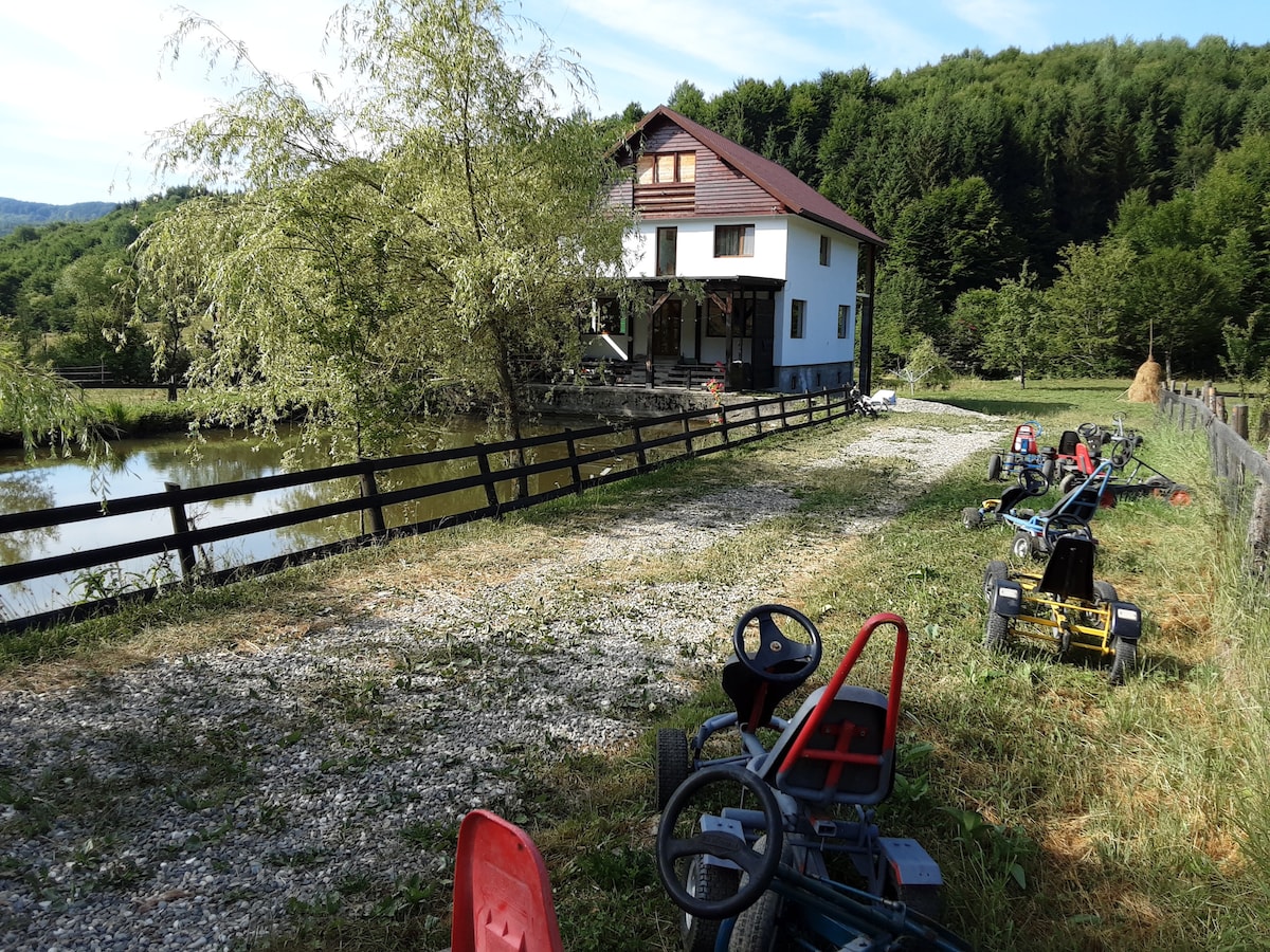 A gravel pathway leads to a two-story cabin surrounded by lush greenery. Various go-karts are positioned on the grassy area, with a peaceful fishing pond visible nearby. A wooden fence outlines the property, enhancing the natural landscape.