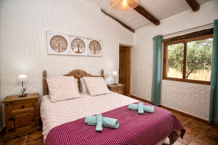 Bedroom 1: Parental bedroom of 17,5 m2 - 1 double bed of 160cm*200cm – View Oliveraie.