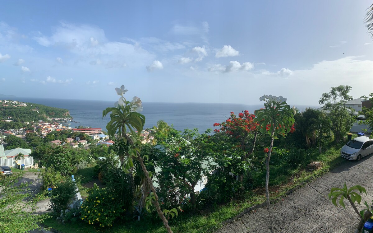 A panoramic view captures the Caribbean Sea against a backdrop of vibrant greenery. The coastal landscape features a mix of colorful flowers and lush foliage. Houses dot the hillside, with a clear sky and soft clouds enhancing the tranquil scene.