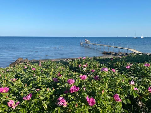 Top performing Airbnb: Nice villa with amazing location in Skæring Egå