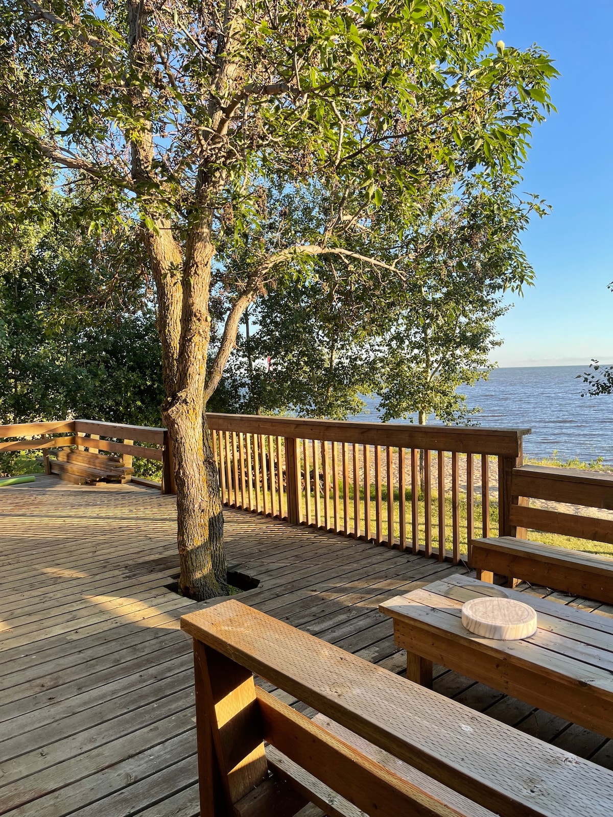 A spacious wooden deck is surrounded by greenery, featuring a sturdy railing and a tree. A simple table is positioned to offer a view of the serene lake, with calm waters reflecting the blue sky. The warm sunlight casts gentle shadows across the deck.