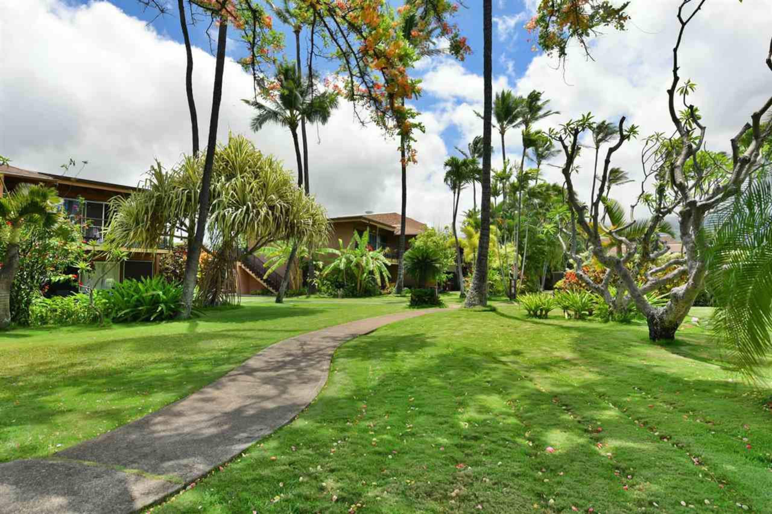 Condo in Lahaina · ★5.0 · 2 bedrooms · 4 beds · 2 baths - Image 6