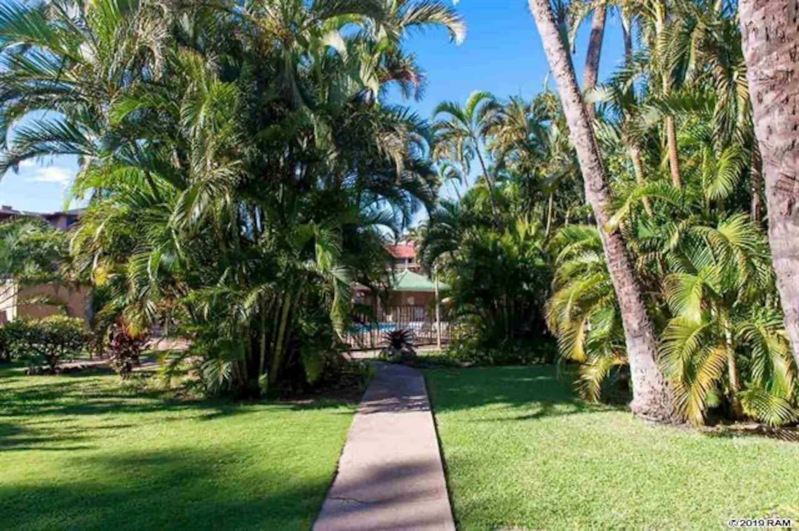 Condo in Lahaina · ★5.0 · 2 bedrooms · 4 beds · 2 baths - Image 8