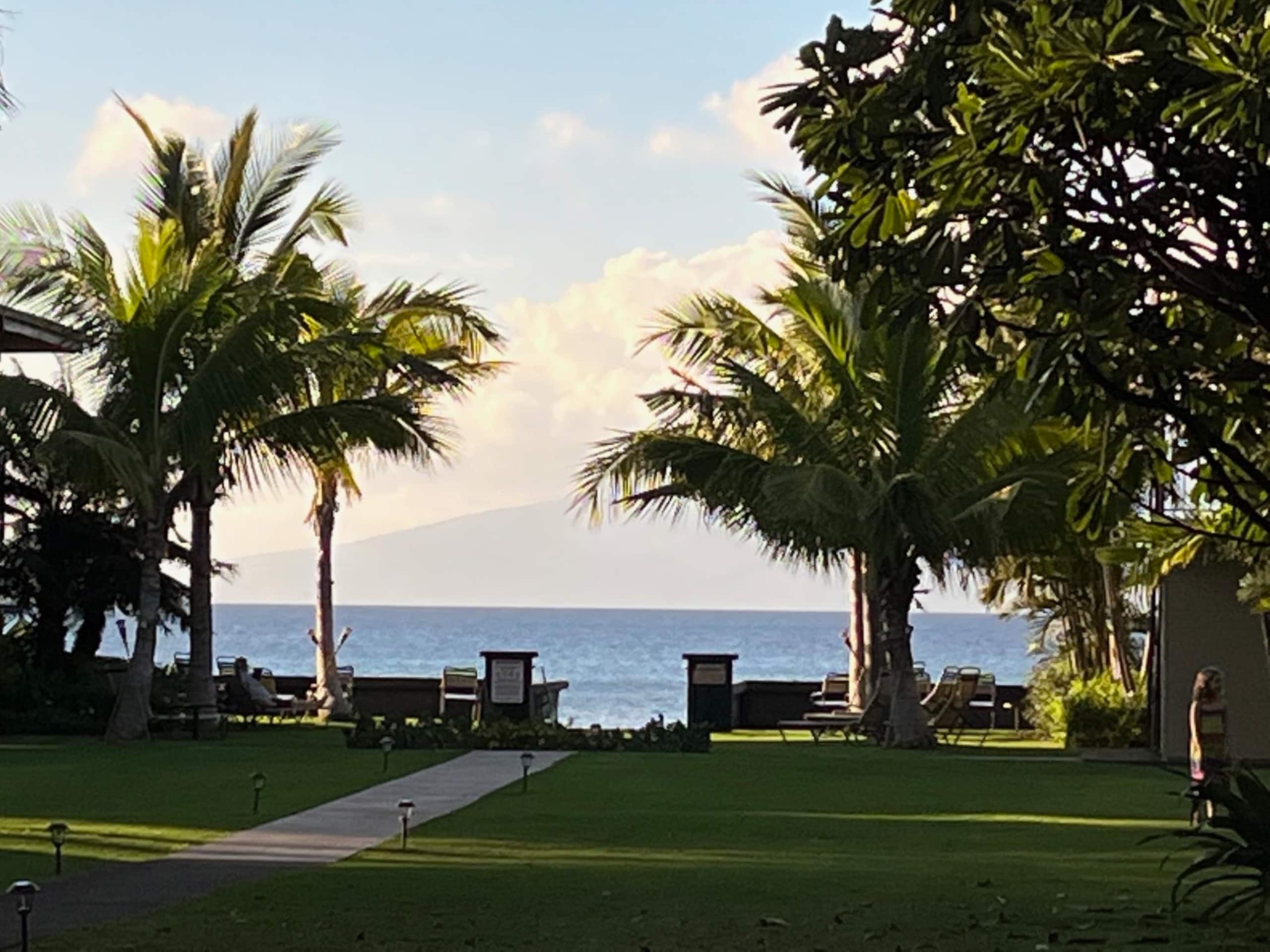 Condo in Lahaina · ★5.0 · 2 bedrooms · 4 beds · 2 baths - Image 3