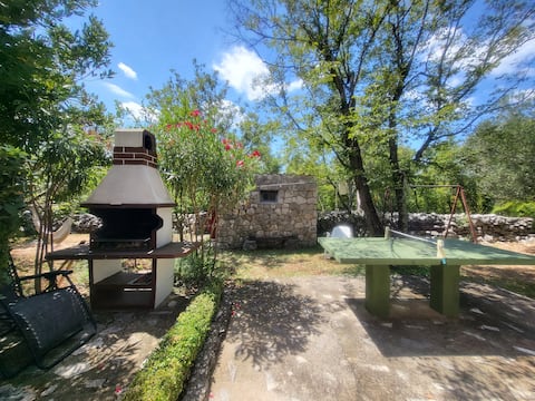 HOUSE DRAGICA for 7-8 pers. 120 m2