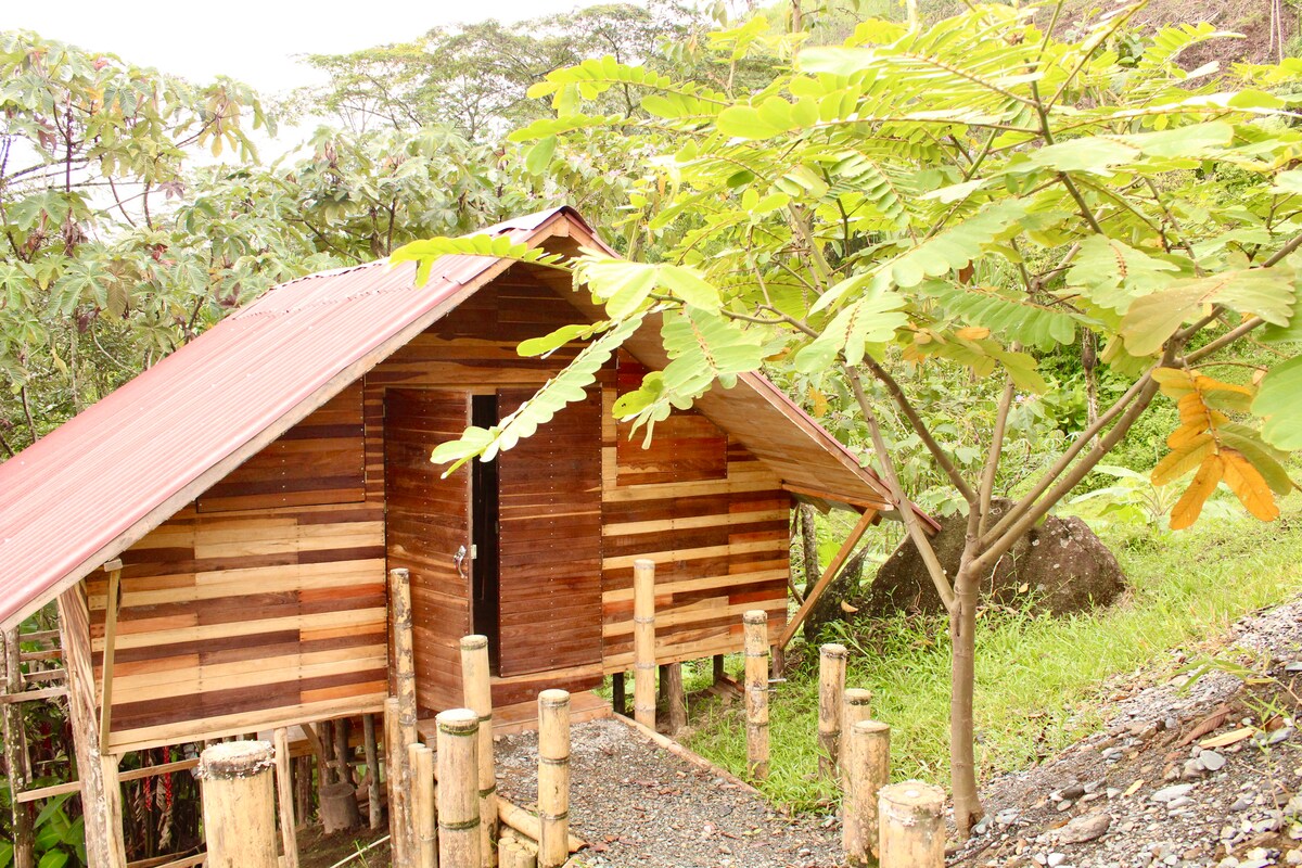 A rustic wooden cabin features a sloped roof with a blend of natural timber textures and colors. The surrounding landscape includes lush greenery and large trees, providing a serene and tranquil setting. The path leading to the entrance is lined with natural stone.