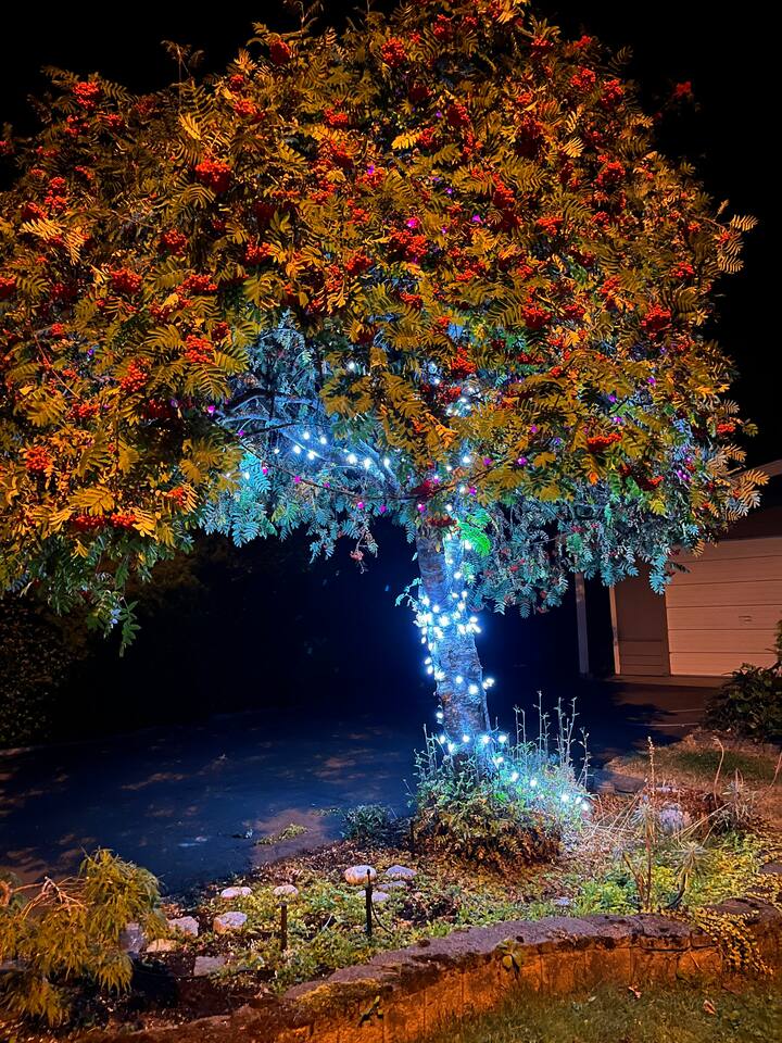 Top 10 Monthly Rentals In Parksville, Canada Trip101