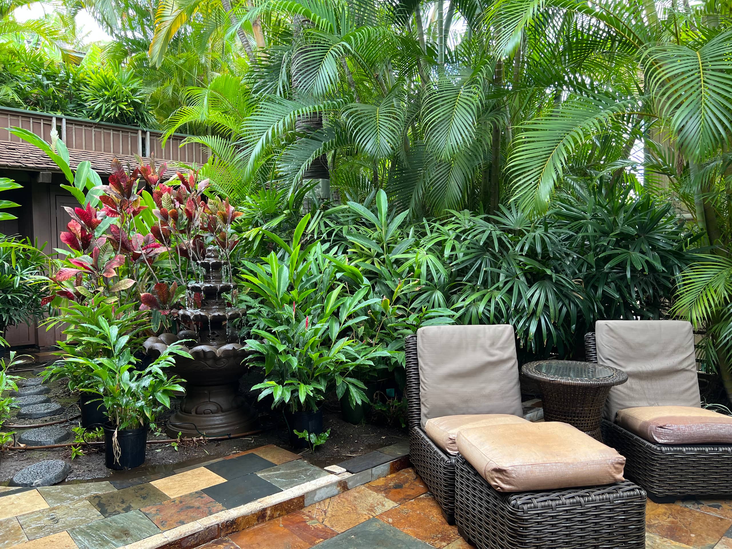 Kihei B & B Papaya (Hawaii GE and TA tax numbers 214-354-3296-01) - Photo 14