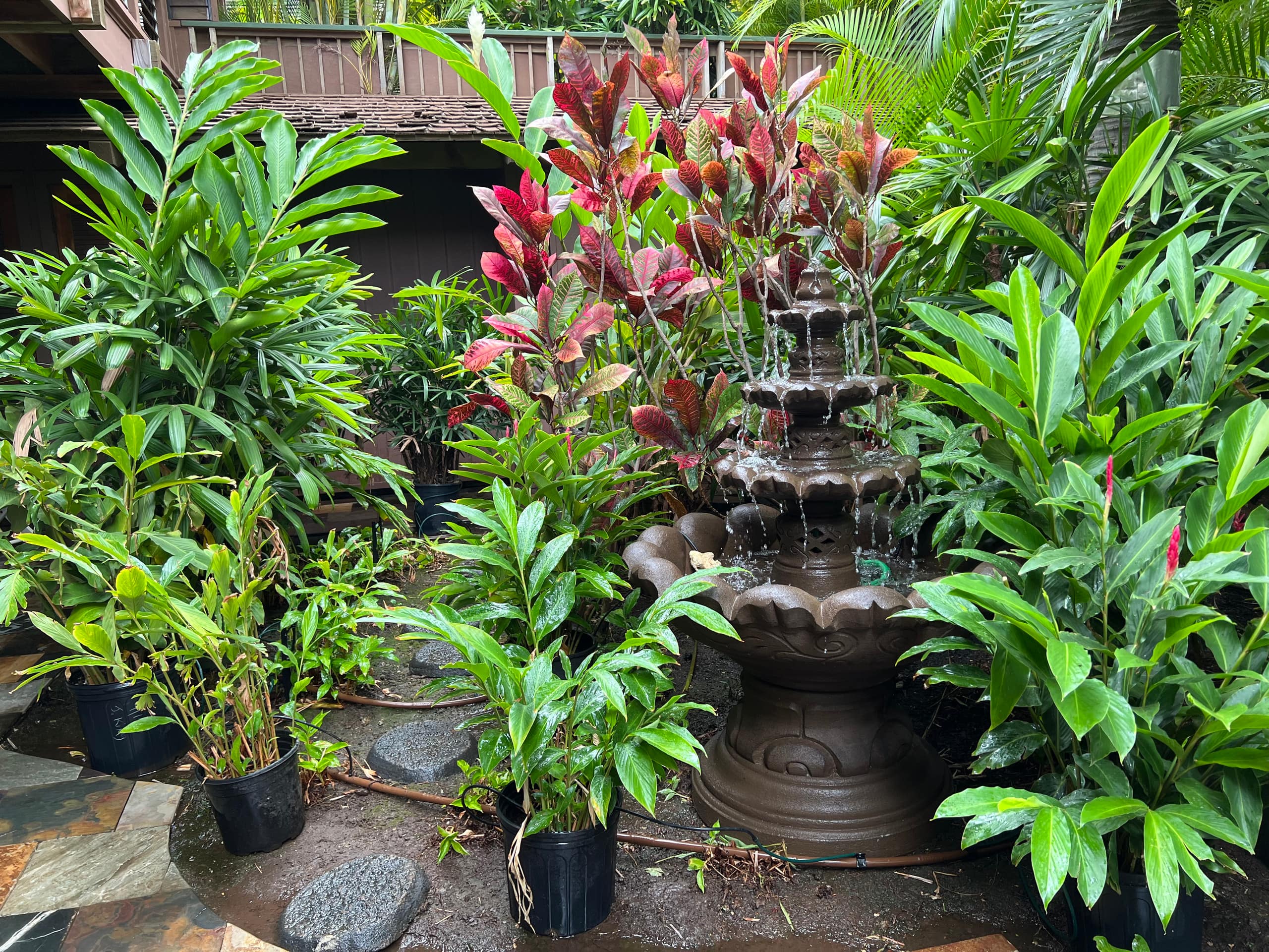 Kihei B & B Papaya (Hawaii GE and TA tax numbers 214-354-3296-01) - Photo 15