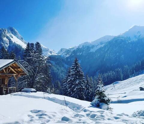 Mountain chalet with jacuzzi