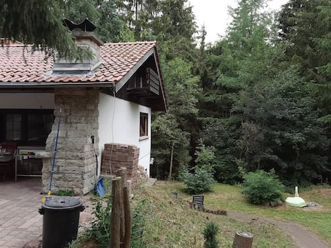 Vacation home of NesoMi e.V. in Finsterbergen