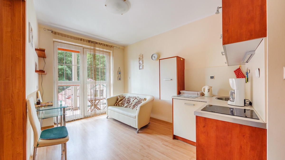 An open-plan kitchen and living area is presented, showcasing a light wooden floor. A cozy couch is positioned next to a glass table with two chairs. Natural light filters through large balcony doors, enhancing the minimalist kitchen that features a stovetop and a small refrigerator.