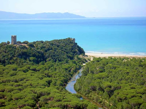 A scenic view showcases a lush green landscape leading to a sandy beach, framed by a calm turquoise sea. A historical structure is visible atop a hill, complementing the serene natural surroundings. The image captures the peaceful coexistence of forest and shoreline.