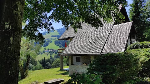 Stari Vrh Retro Cottage