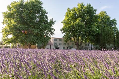 La Bastide Des Lavandins