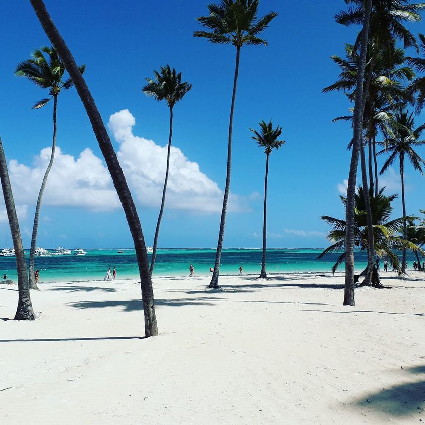 secrets resorts reviews punta cana secrets resorts reviews punta cana