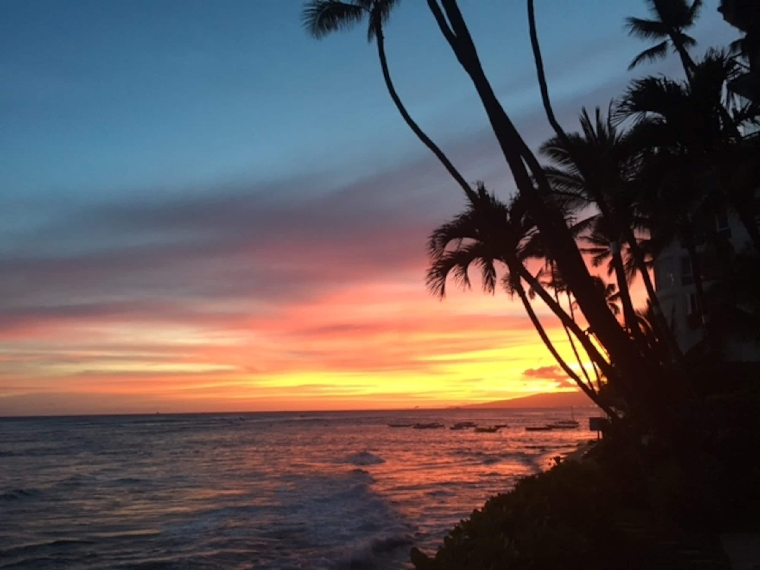 Diamond Head Tranquility. Ocean - Image 8