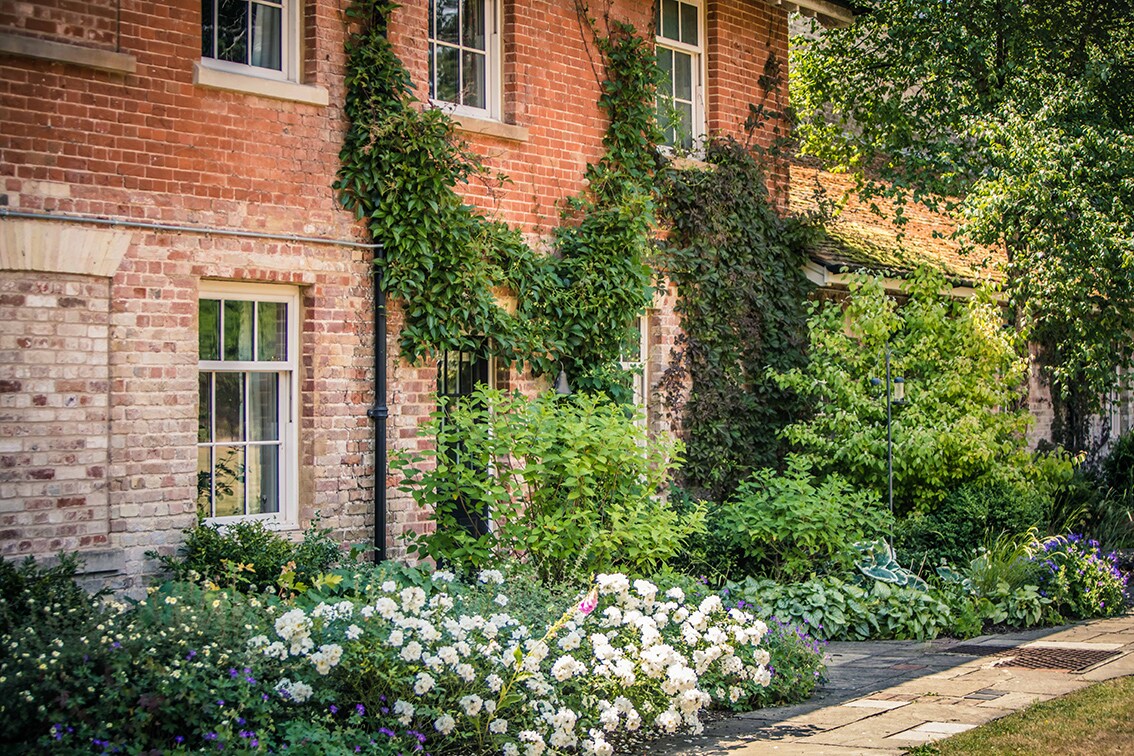 A charming brick cottage is partially obscured by flourishing green vines. Bright white and purple flowers create a vibrant contrast against the greenery, leading to a pathway that invites exploration through the well-tended garden.