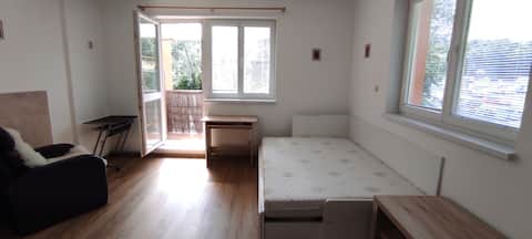 1 room flat with kitchen, bathroom and balcony, 30m2