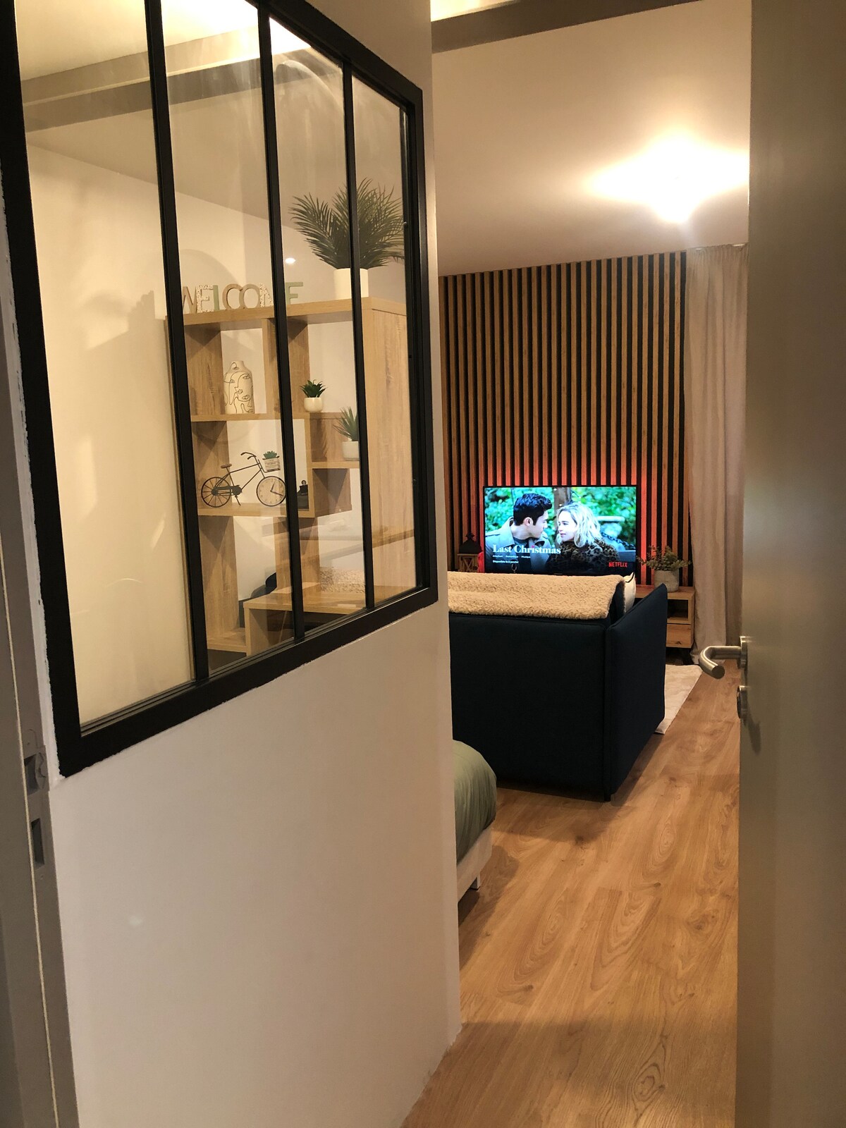 A view through a glass-paneled door reveals a cozy living area with a blue sofa facing a television. Light wooden flooring complements the vertical wood paneling in the background. A decorative shelf with plants is positioned to the left, adding a touch of natural elements.