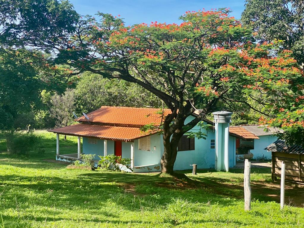 A charming house with a bright blue exterior is nestled within a green landscape. A large tree with vibrant flowers shades the front yard, complemented by a red-tiled roof. Surrounding grassy areas enhance the peaceful setting.
