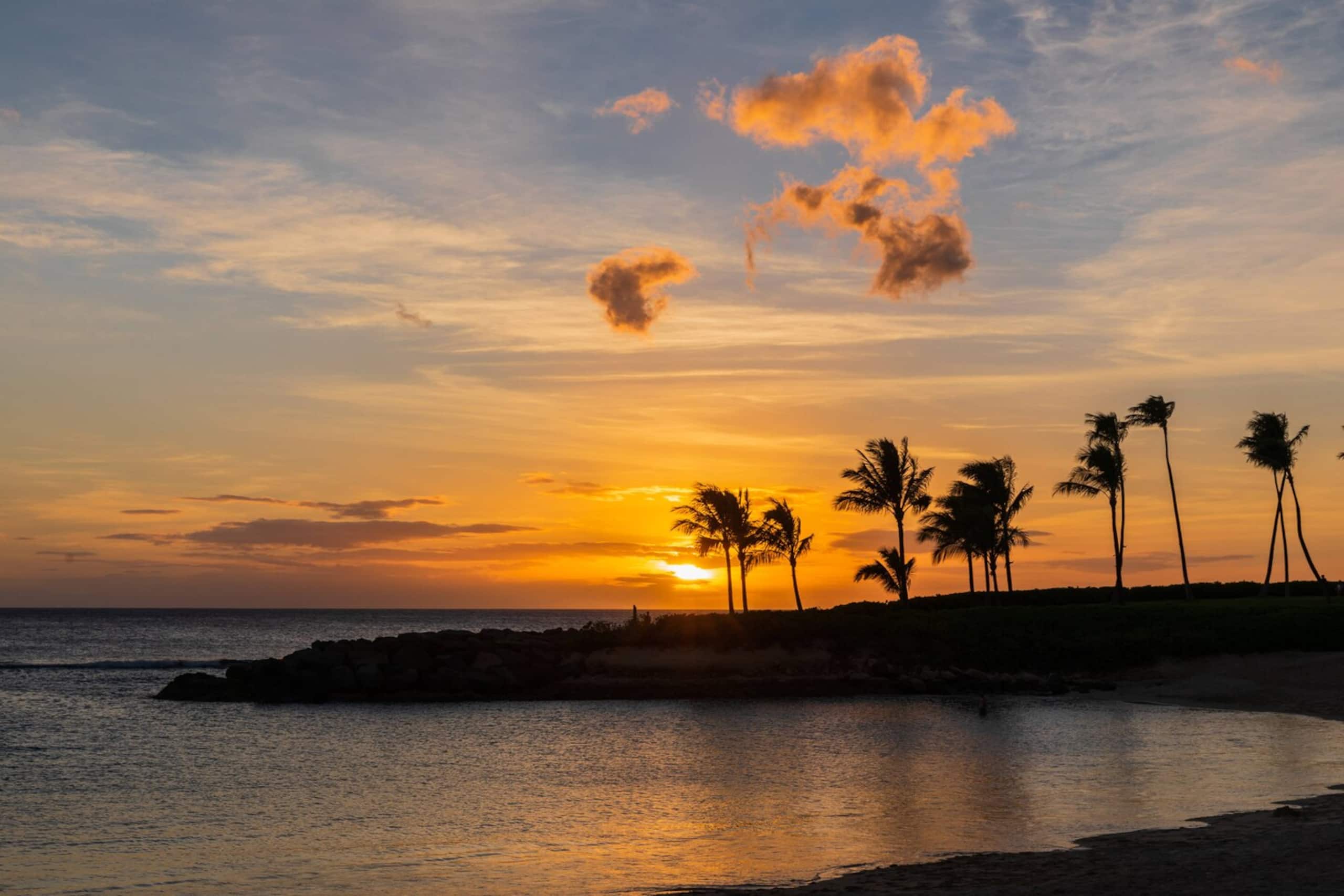 Condo in Kapolei · ★4.67 · 1 bedroom · 2 beds · 1 shared bath - Image 10