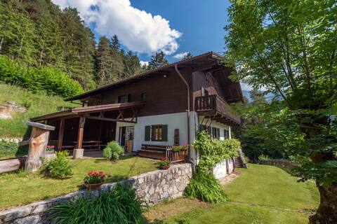 Villa Vintila with Jacuzzi & Sauna
