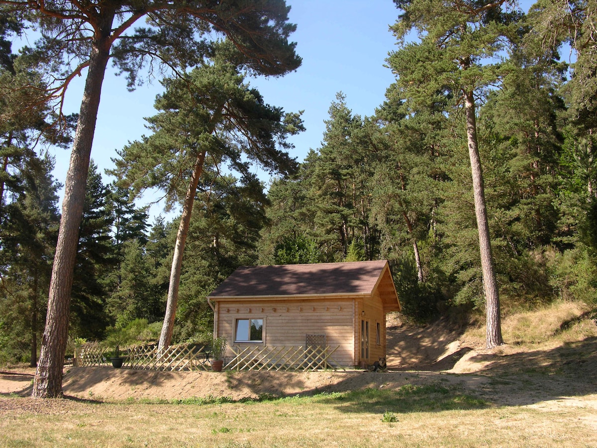 A wooden cabin is nestled among tall pine trees, surrounded by natural greenery. The exterior features a gabled roof and a single window, framed by a simple wooden fence. Sunlight filters through the branches, highlighting the earthy tones of the cabin.