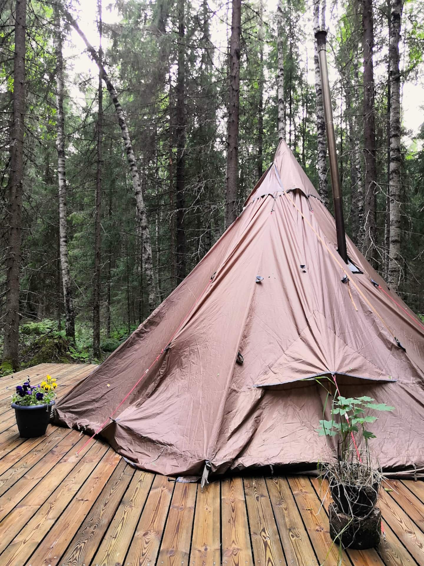 Havukota Glamping& Private Nature Protected Forest 5