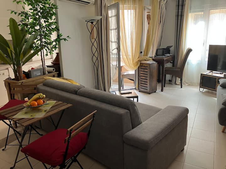Cannes : appartement de qualité très cocoon - Apartments for Rent in ...