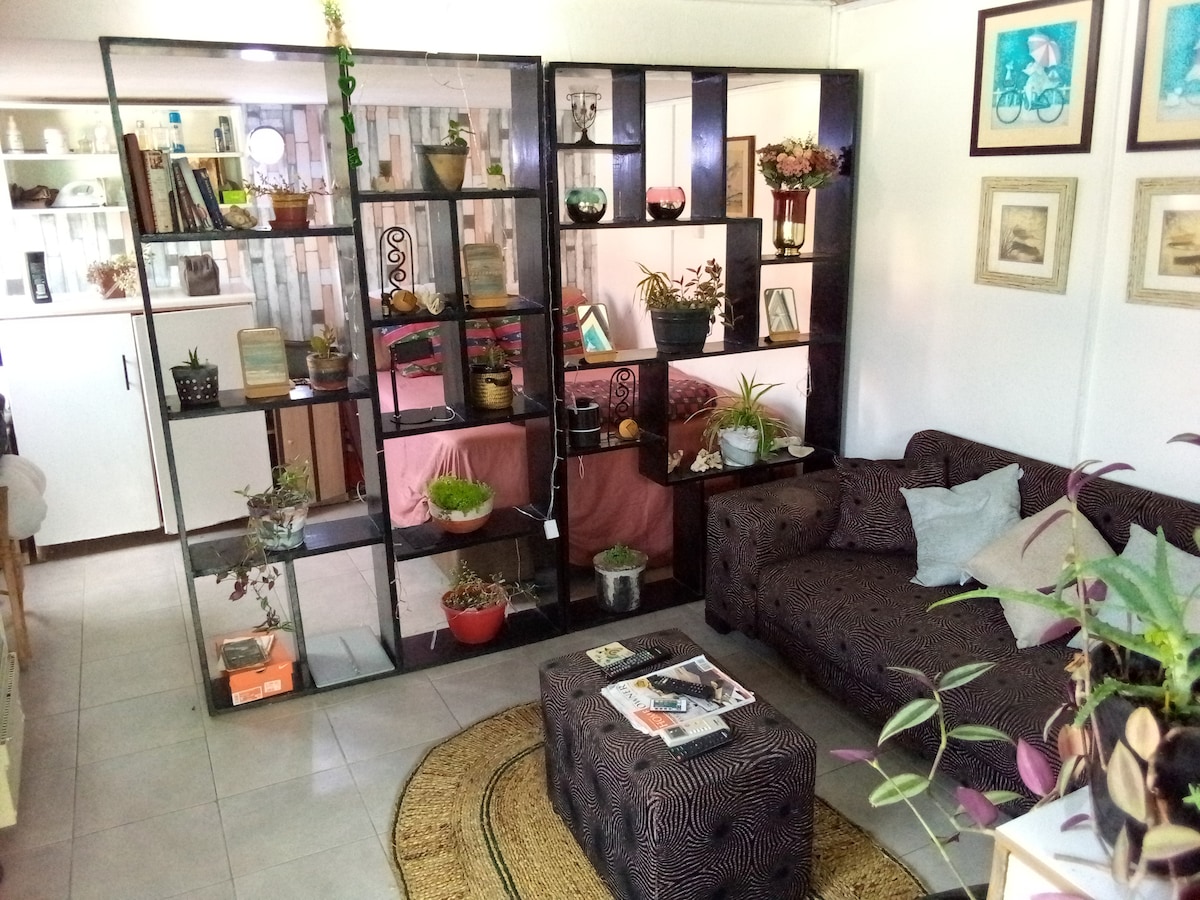 A modern studio layout is displayed, featuring a dark open shelving unit filled with plants and decorative items. A cozy seating area includes a patterned couch and an ottoman, while soft natural light enhances the inviting atmosphere of the warmly decorated space.