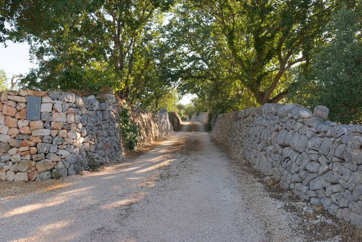 Il nido delle rondini gallery image 5