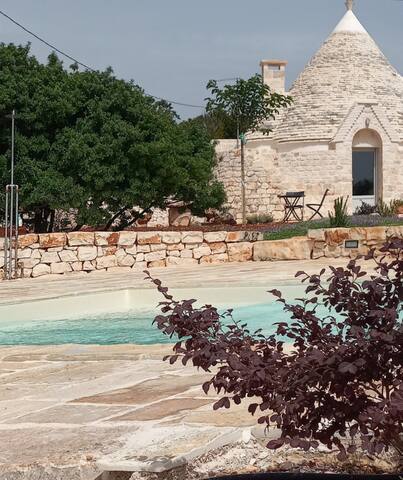 Il nido delle rondini