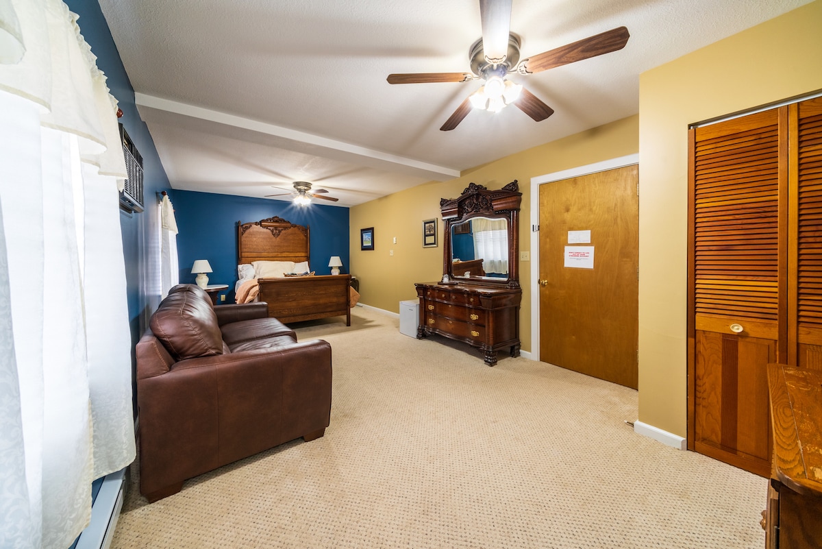 A spacious room features a queen-size bed with a dark wooden headboard, complemented by matching dressers. A comfortable brown couch is situated nearby, and abundant natural light streams in through windows dressed with sheer curtains. A ceiling fan adds to the airy feel of the space.