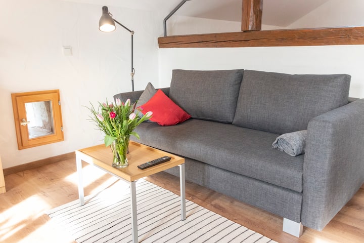 Modernes Studio Im Alten Lothringer Bauernhaus - Beckingen