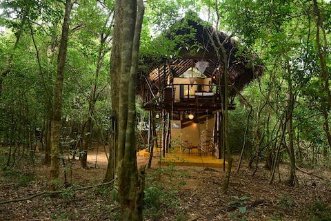 Jungle Book Living - Large Tree House in Sigiriya