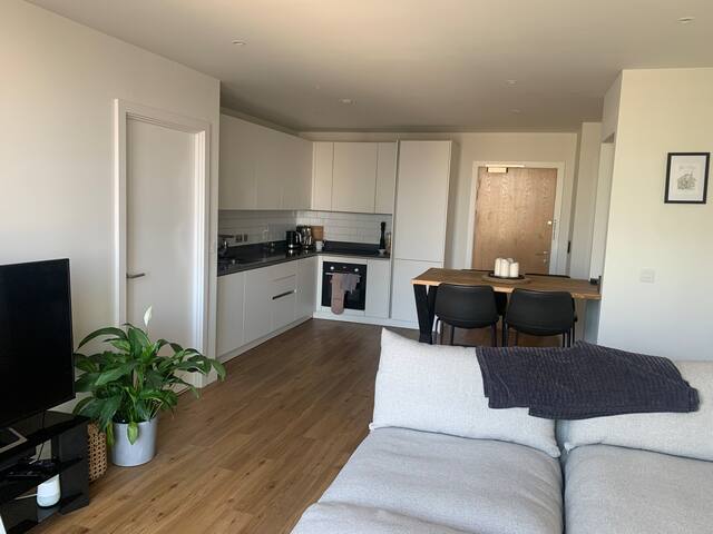 Luxury 2-bed apartment with penthouse city view gallery image 4