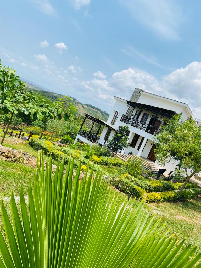 The property displays a modern two-story house surrounded by well-maintained gardens and lush greenery. A large palm leaf is prominently featured in the foreground, while the sky above shows bright clouds and a hint of blue. The landscape reveals hills extending into the distance.