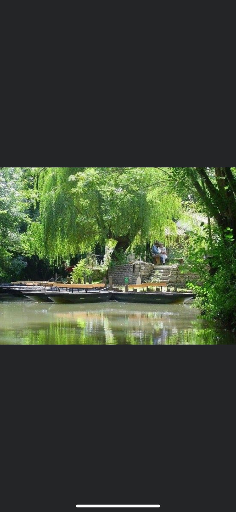 A serene waterway is bordered by lush greenery, featuring a large willow tree providing ample shade. Wooden platforms extend over the water, creating inviting spots for relaxation. The calm water reflects the vibrant foliage, enhancing the peaceful atmosphere of the outdoor space.