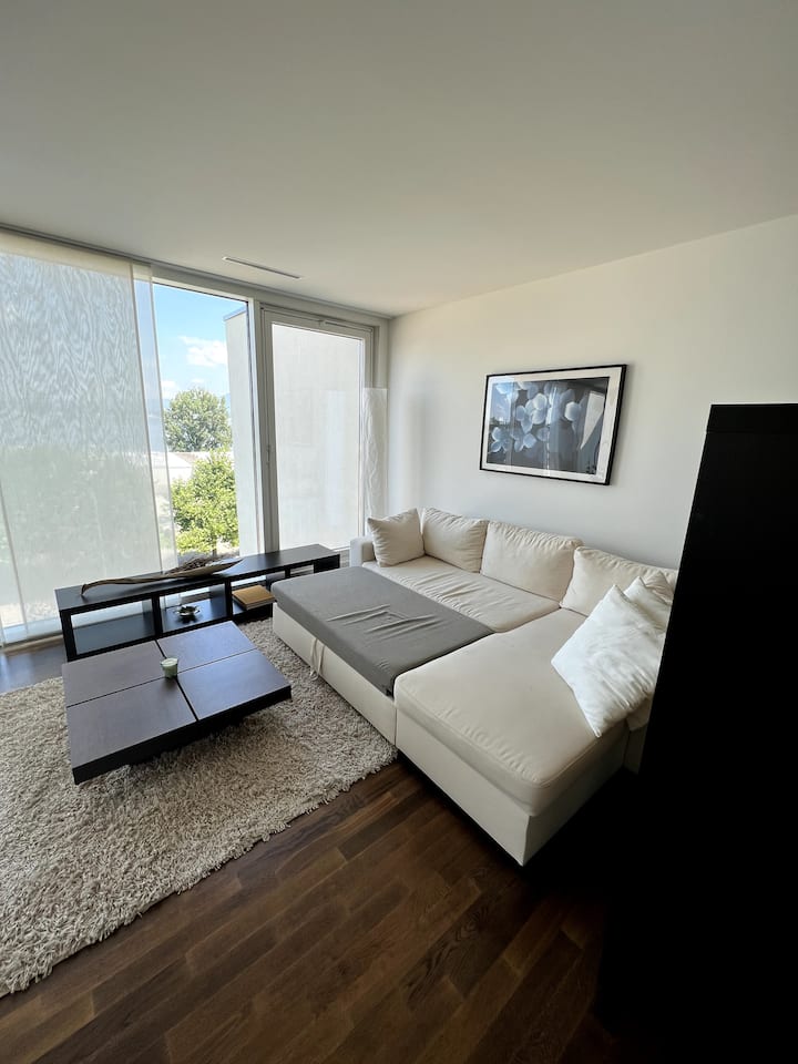 Einzigartiges Loft Mit Grandiosem Seeblick - Rapperswil-Jona