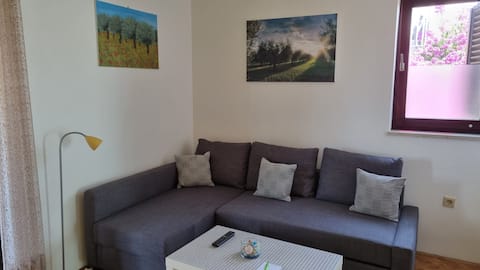 Successful Airbnb property: Novigrad: superb apartment on the 1st floor (YELLOW) in Grad Novigrad