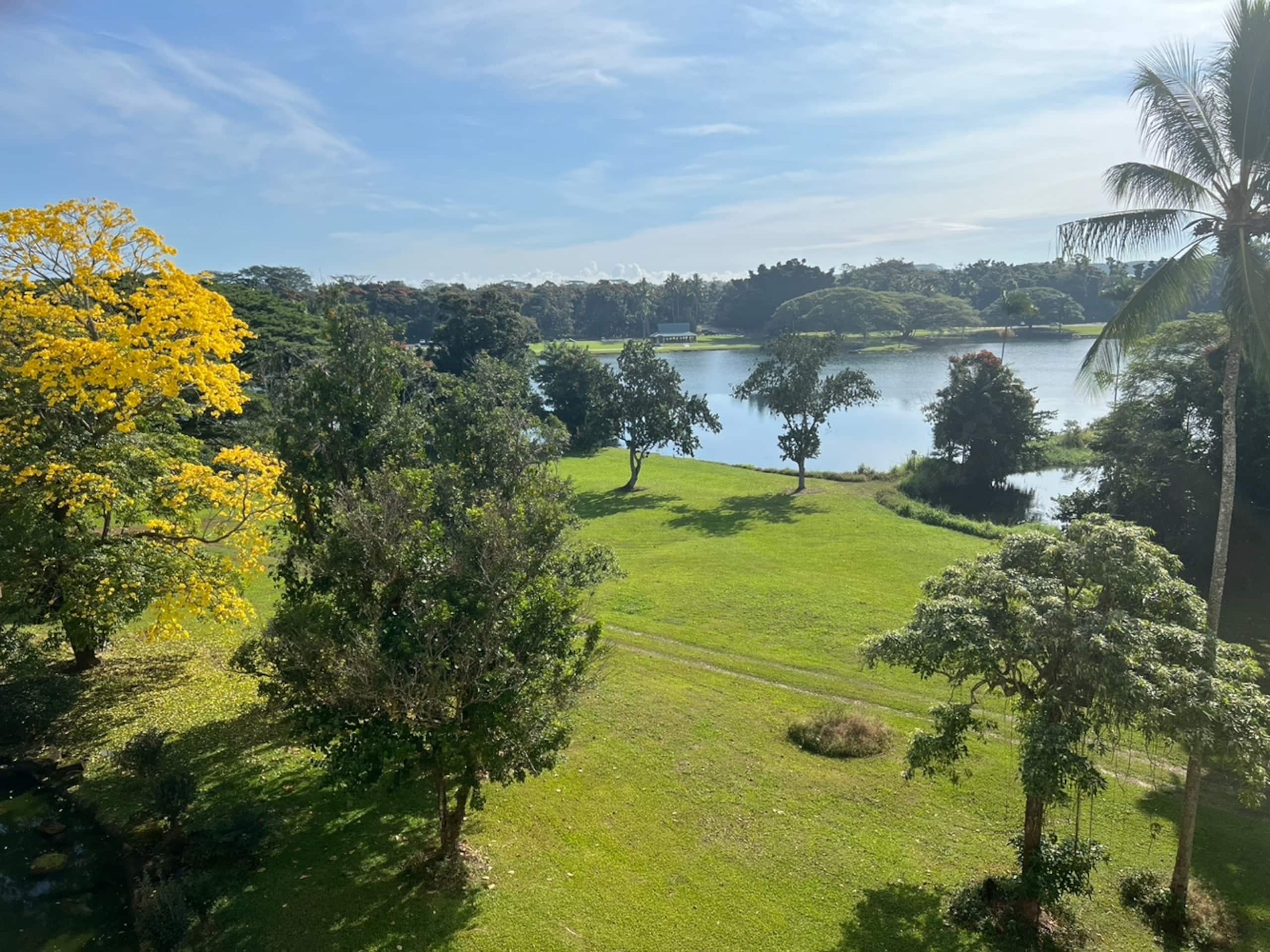 Condo in Hilo · ★4.91 · 2 bedrooms · 2 beds · 2 private baths - Image 25