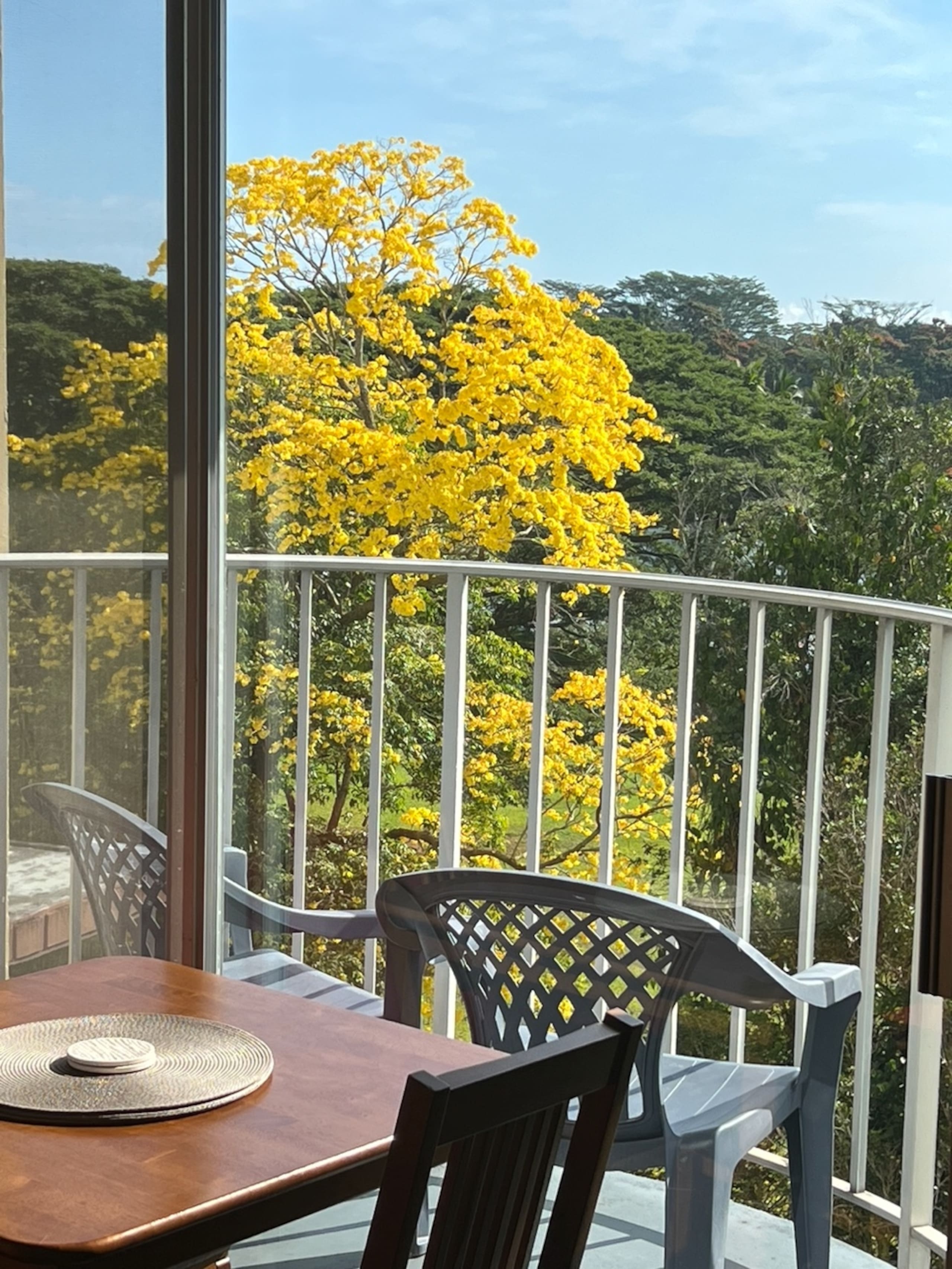Condo in Hilo · ★4.91 · 2 bedrooms · 2 beds · 2 private baths - Image 26