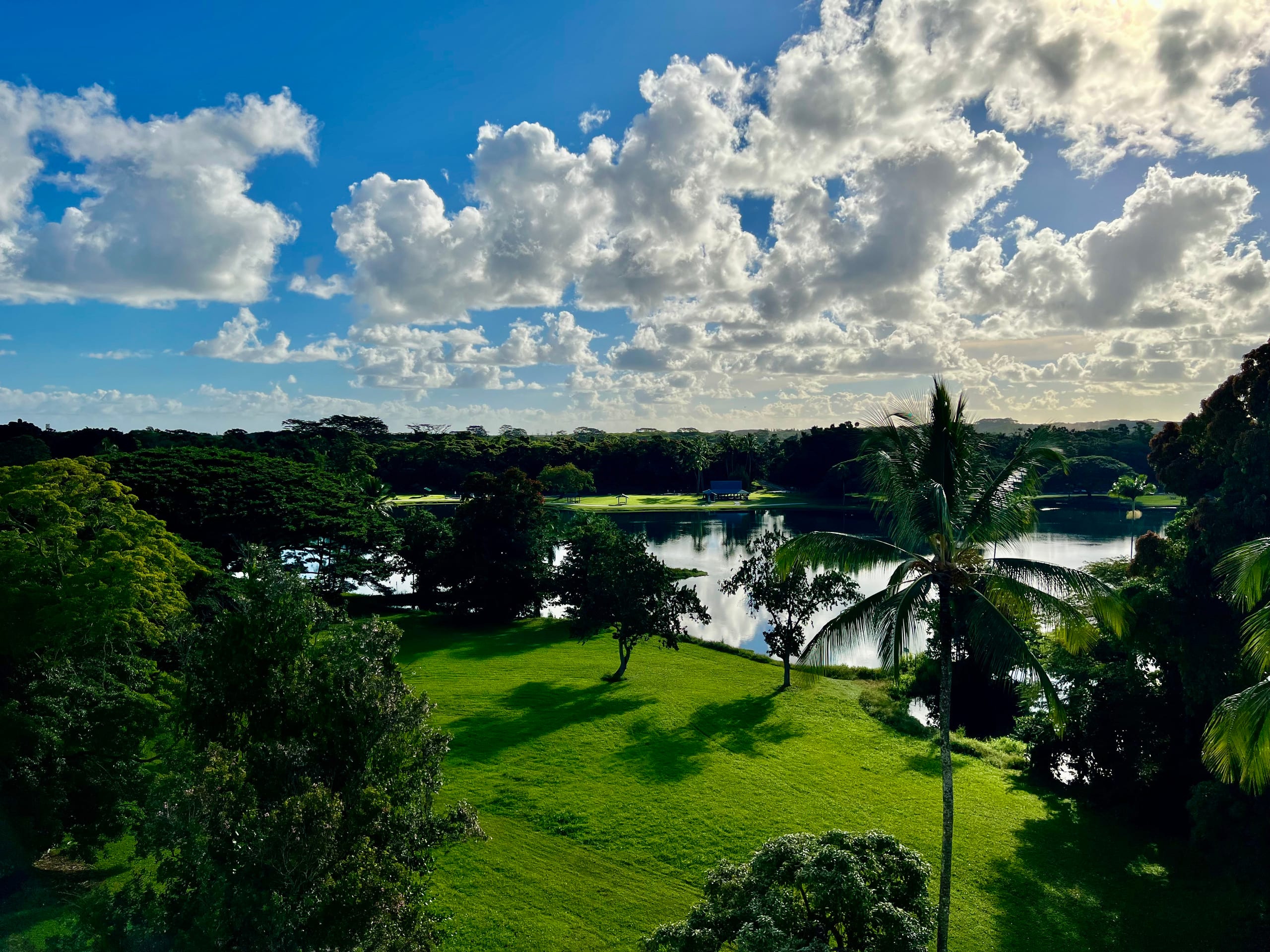 Condo in Hilo · ★4.91 · 2 bedrooms · 2 beds · 2 private baths - Image 21