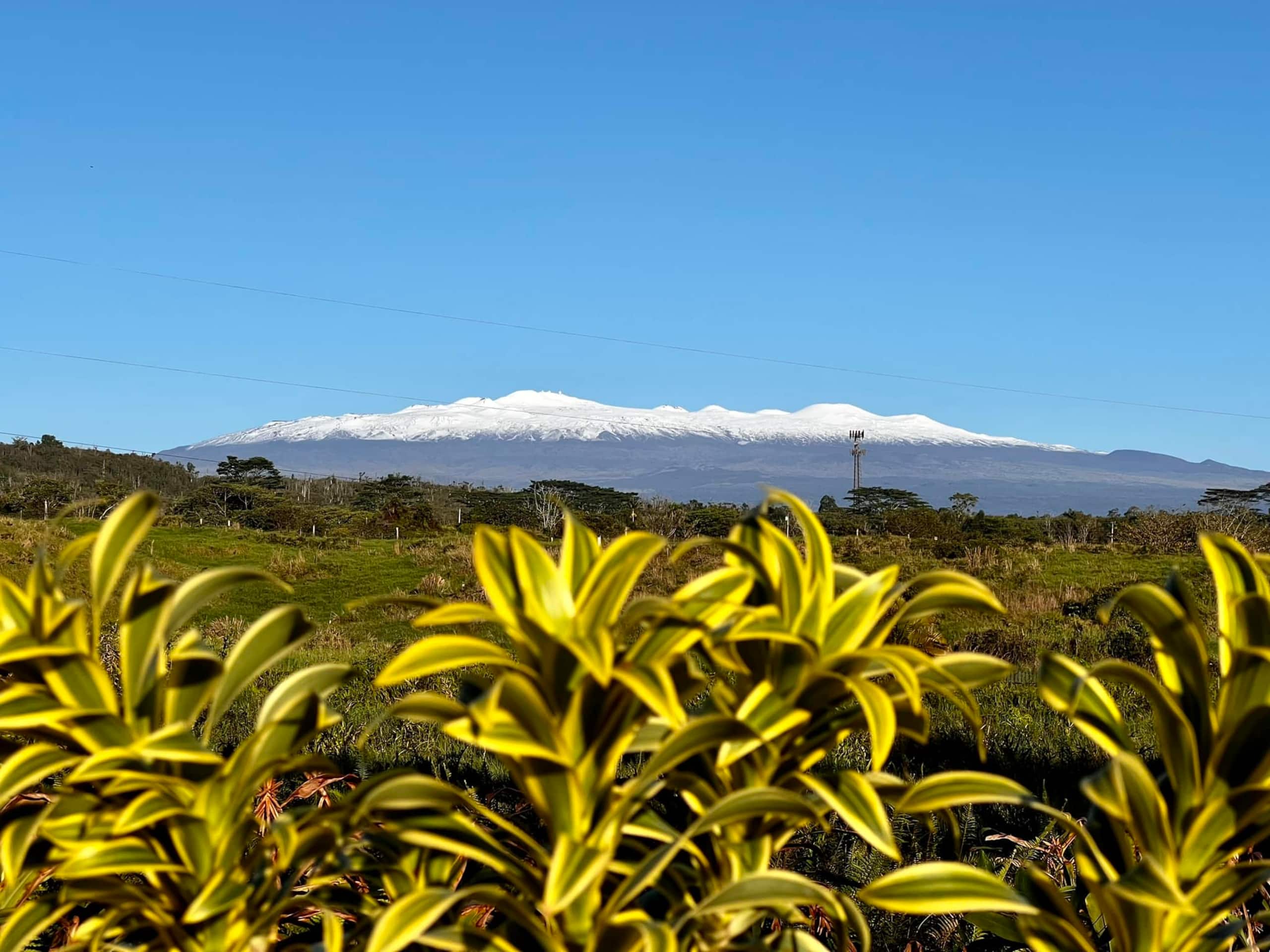 Condo in Hilo · ★4.91 · 2 bedrooms · 2 beds · 2 private baths - Image 30