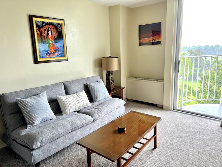 Gorgeous Views! In The Heart Of Hilo - Pool - A/c - Hilo, HI