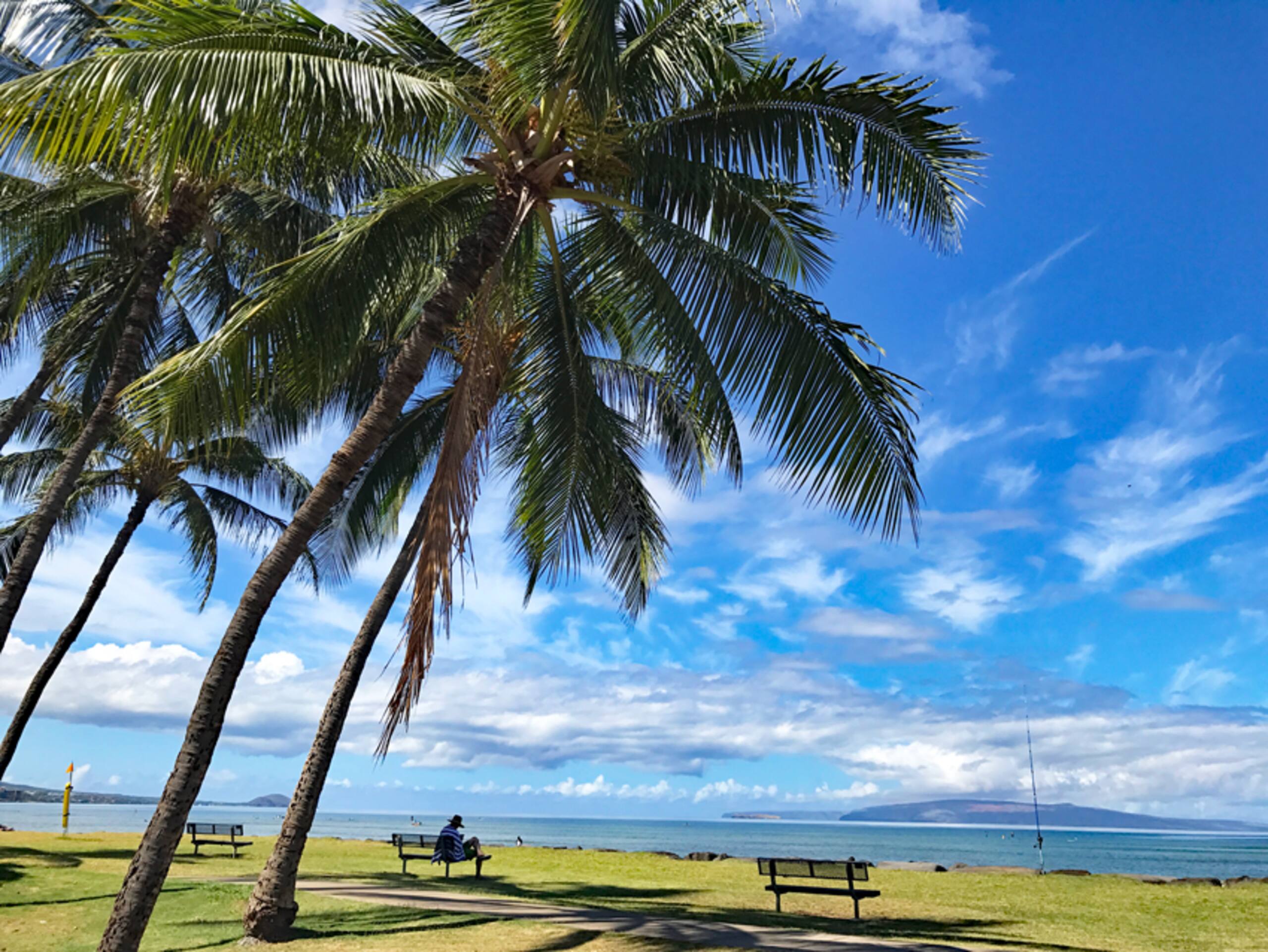 Condo in Kihei · ★4.93 · 2 bedrooms · 2 beds · 2 baths - Image 42