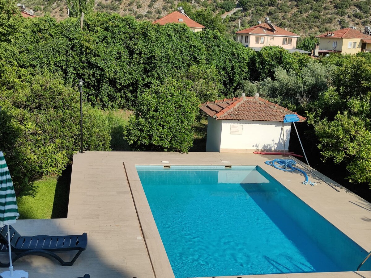 An outdoor pool with clear blue water is surrounded by a sun terrace. Green foliage frames the area, while a small shed is visible in the background. Lounge chairs offer a comfortable spot to relax beside the pool under the sun.