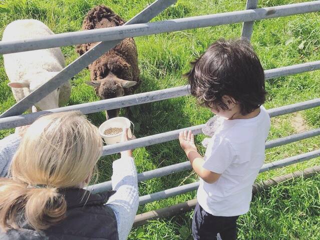 Luxury Cottage – Private Lake*Hot Tub*Farm Animals gallery image 4